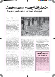 Artiklen er en pdf-fil på 829 kb - GeologiskNyt