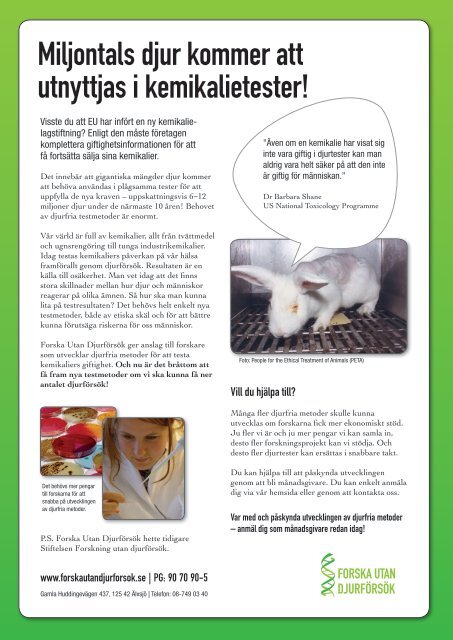 Temanummer om katternas situation - Djurskyddet Sverige