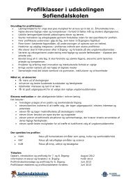 Profil information - marts 2013.pdf - Sofiendalskolen, Aalborg