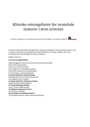 Kliniske retningslinier for uroteliale tumorer i øvre urinveje