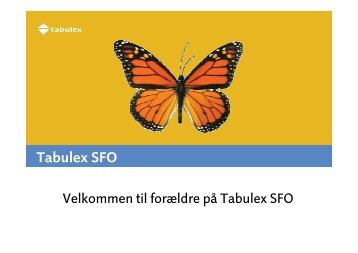 vejledning tabulex sfo.pdf