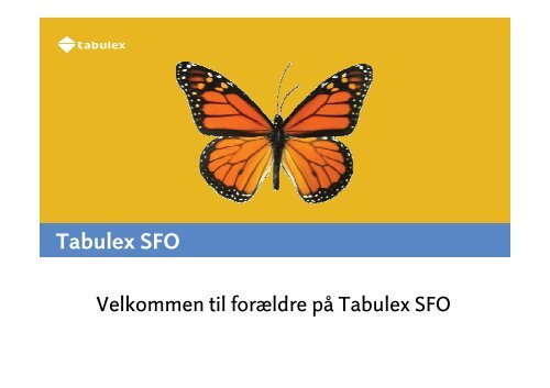 vejledning tabulex sfo.pdf