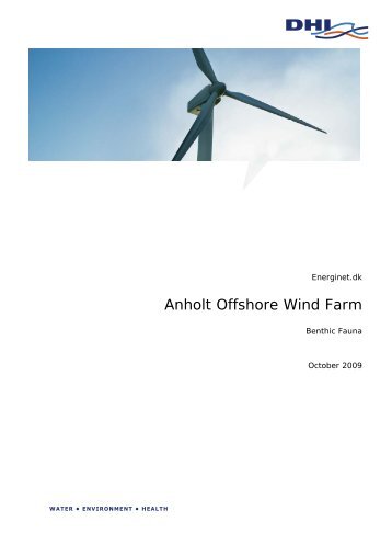 Anholt Offshore Wind Farm - Energistyrelsen