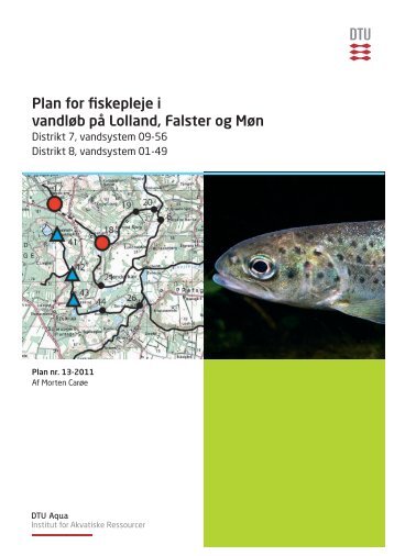 Plan for fiskepleje i vandløb på Lolland, Falster og Møn