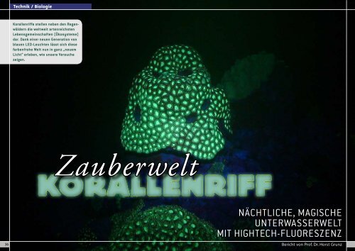 Korallenriff - Guest Service at Engelschall.com