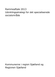 Rammeaftale 2013 Udviklingsstrategi for det ... - Solrød Kommune