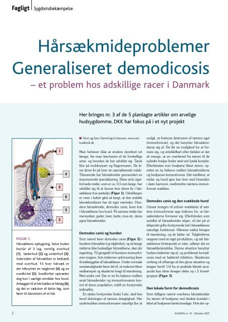 Generaliseret demodicosis - Kennel ...