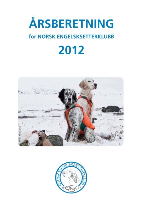 Årsberetning 2012 - Nesk