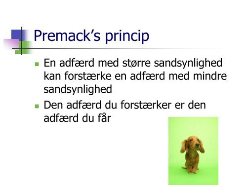 Præsentation - DcH Kreds 1