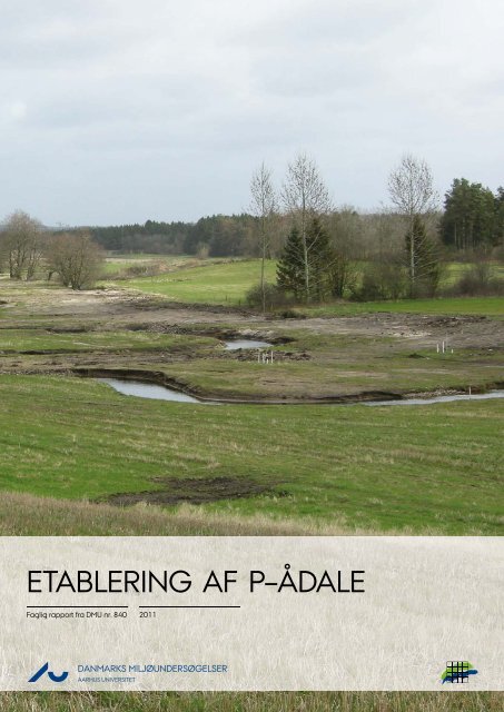 Etablering af P-ådale