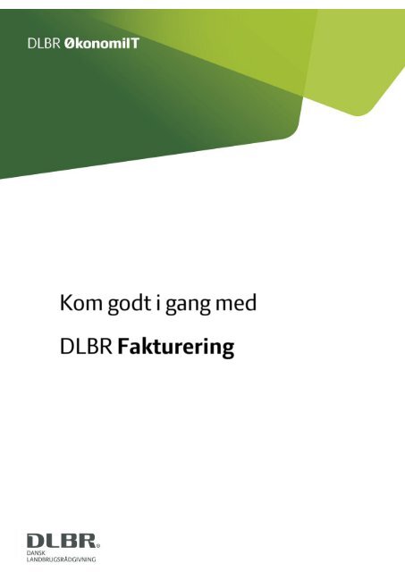 Kom godt i gang med Fakturering - DLBR IT