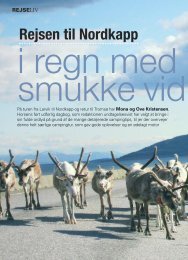 Rejsen til Nordkapp - Campinginfo.nu