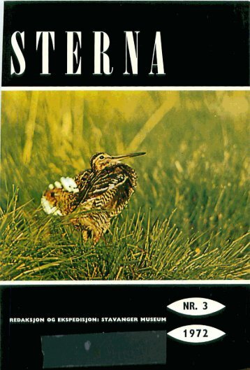 Sterna, bind 11 nr 3 (PDF-fil) - Museum Stavanger