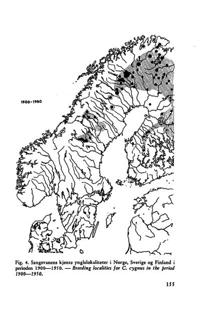 Sterna, bind 11 nr 3 (PDF-fil) - Museum Stavanger