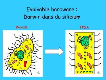 Evolvable Hardware