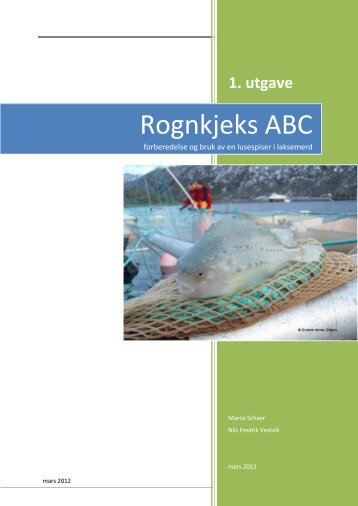 Rognkjeks ABC - Lusedata