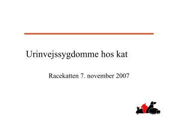 Urinvejssygdomme hos kat [PDF 0,23 MB] - Racekatten