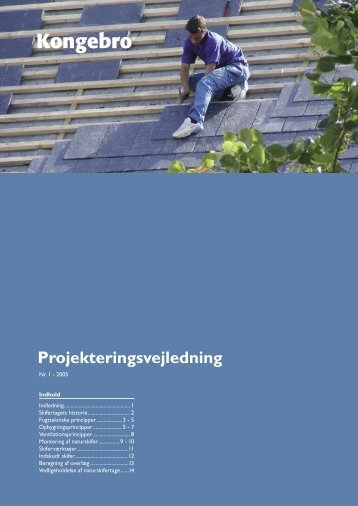 Projekterings vejledning.PDF