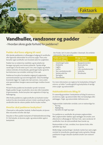 Faktaark Vandhuller, randzoner og padder - LandbrugsInfo