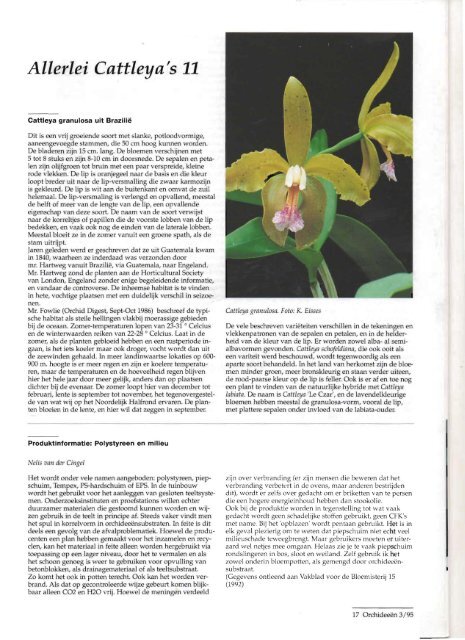 1995 - 3 - Orchideeën Vereniging Vlaanderen