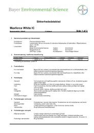 Maxforce White IC - mortalin