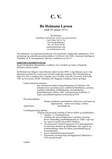 CV (PDF) - Bo Heimann