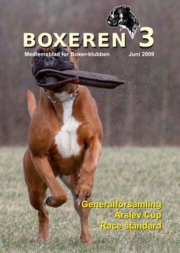 Boxer 3-2009.pmd