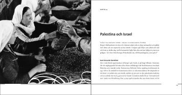Palestina och Israel - Diakonia