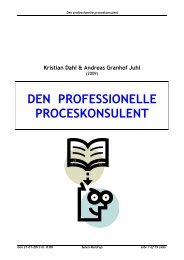 Den professionelle proceskonsulent