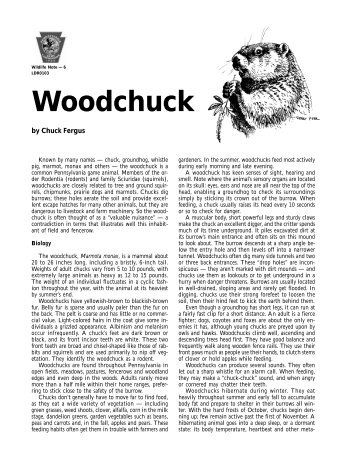 woodchuck ldr