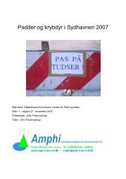 Rapport om padder og krybdyr i Sydhavnen, 2007. - Sydhavnstippen