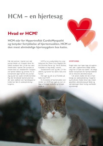 HCM – en hjertesag