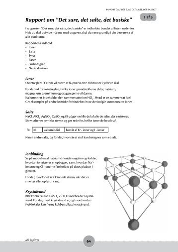 Rapport om ”Det sure, det salte, det basiske” - Elevunivers