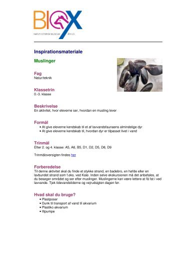 Muslinger - Naturhistorisk Museum