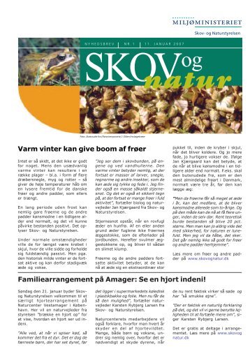 Varm vinter kan give boom af frøer ... - Naturstyrelsen