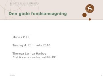 Den gode fondsansøgning - PUFF