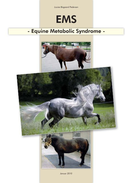 Equine Metabolic Syndrome - St. Hippolyt