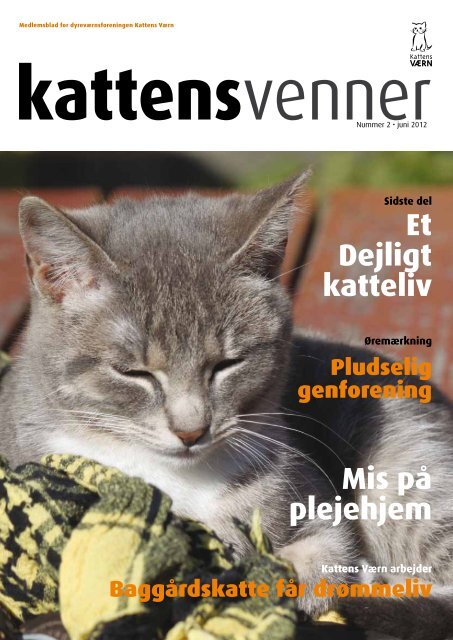 søm fællesskab TRUE Mis på plejehjem Et Dejligt katteliv - Kattens Værn