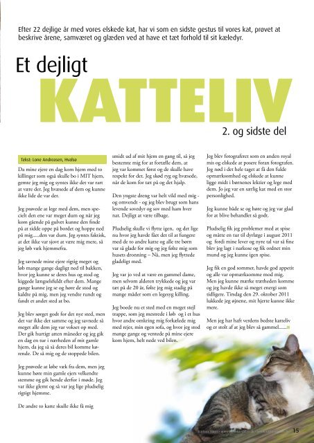 Mis på plejehjem Et Dejligt katteliv - Kattens Værn