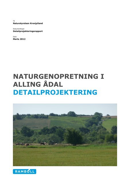 naturgenopretning i alling ådal detailprojektering - Naturstyrelsen