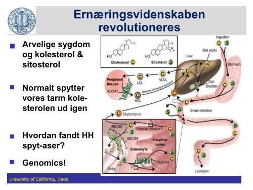 Fedtstruktur: Mælkefedt