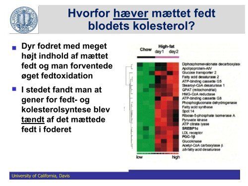 Fedtstruktur: Mælkefedt