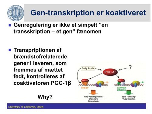 Fedtstruktur: Mælkefedt