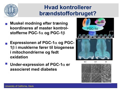 Fedtstruktur: Mælkefedt