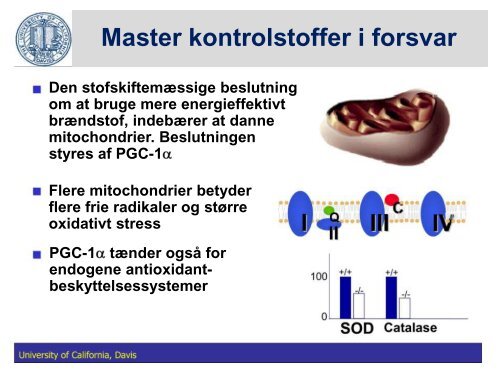 Fedtstruktur: Mælkefedt