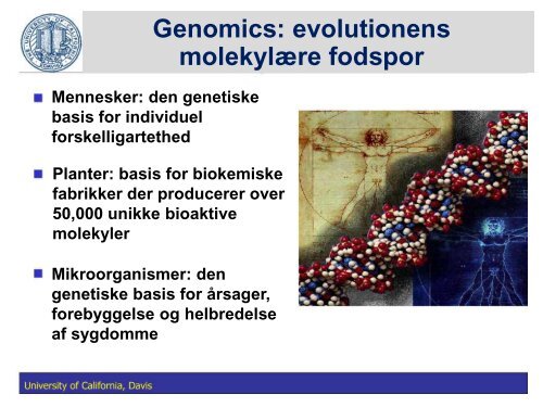 Fedtstruktur: Mælkefedt