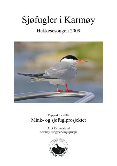 Sjøfugler i Karmøy - Karmøy Ringmerkingsgruppe