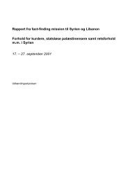 Udlændingestyrelsens fact-finding rapport 2002 (pdf)