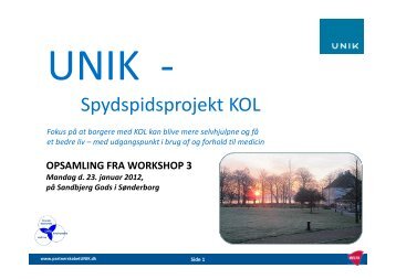 Opsamling fra workshoppen - Partnerskabet UNIK