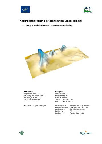 Design beskrivelse og konsekvensvurdering - Naturstyrelsen